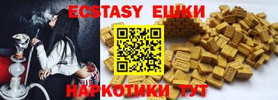 индика Новодвинск